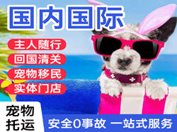 三义航空邮寄国际宠物托运 【国